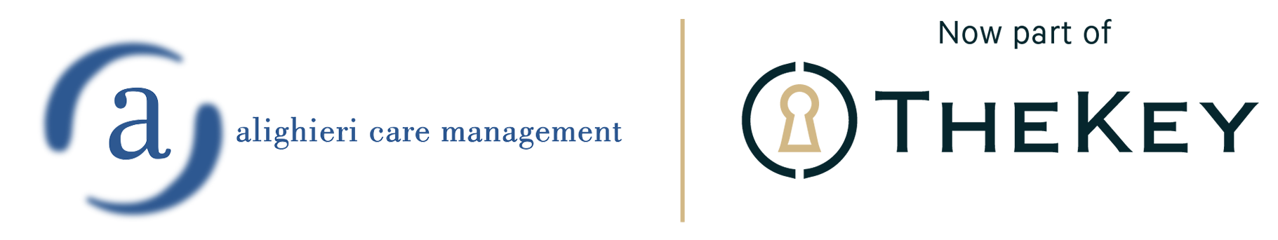 Alighieri Care Management [logo]